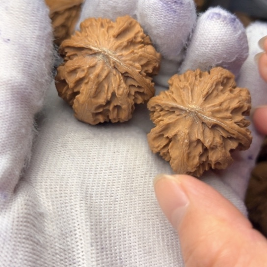 把件文玩核桃秦岭核桃23
