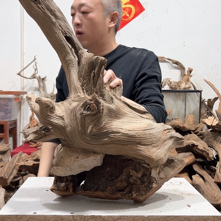 柏木洋****术我们的生活也是如此的