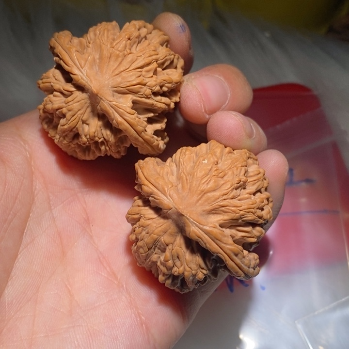 平***乐文玩核桃吊坠精品课程等课程教学的教材或