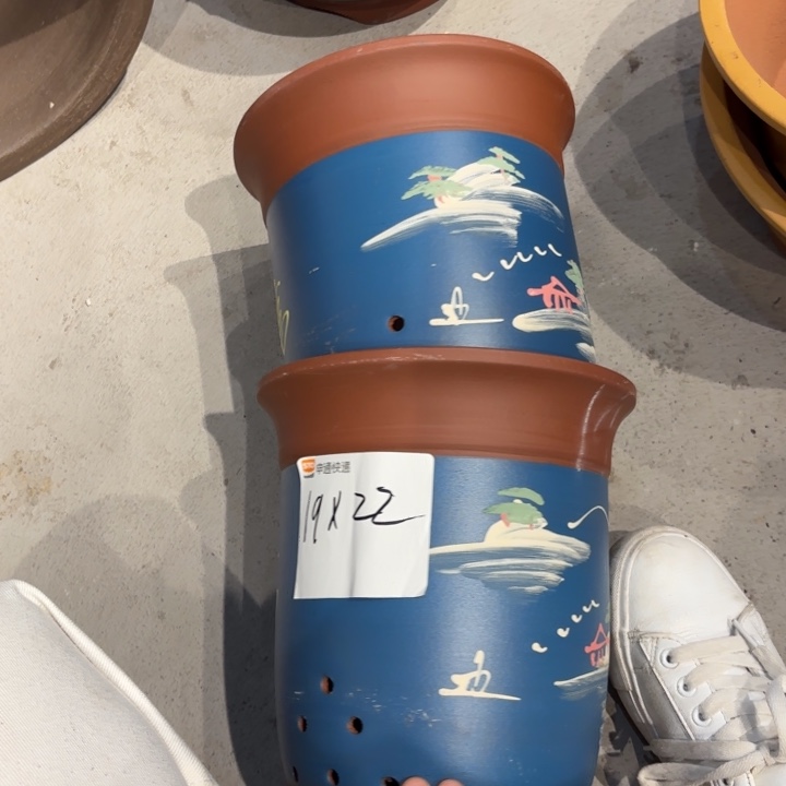 花盆紫砂紫砂的花