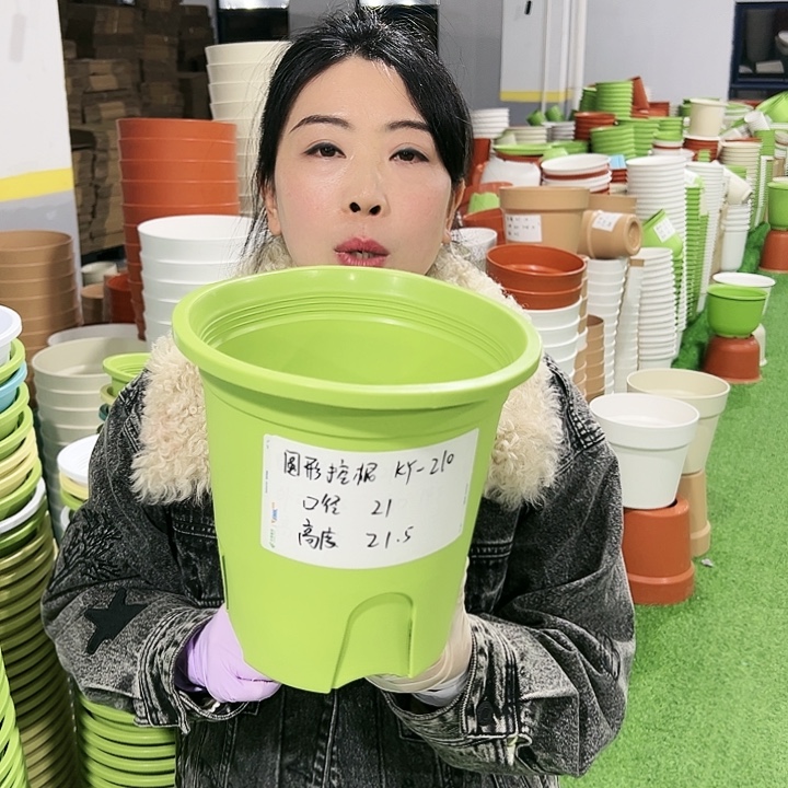 正品圆控口21高21果绿8只无托