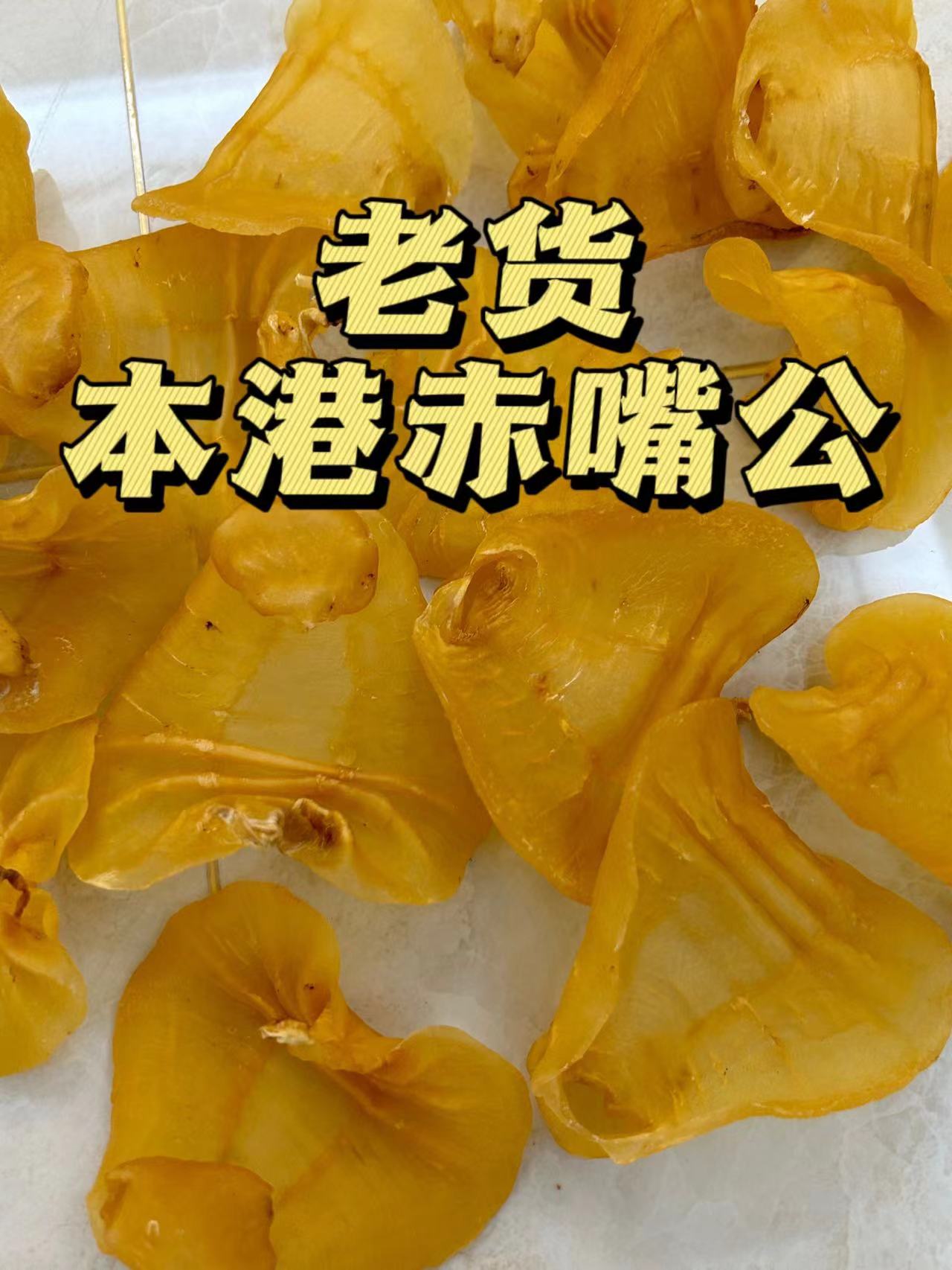 广东湛江赤嘴公鱼胶干货孕妇产后滋补品鱼胶干货