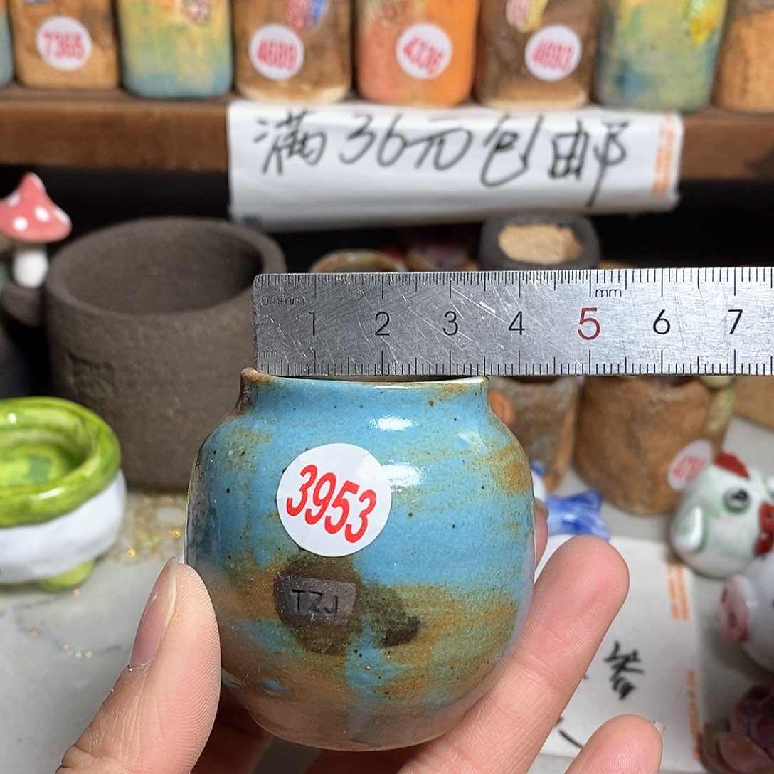 红陶拍5送一个小