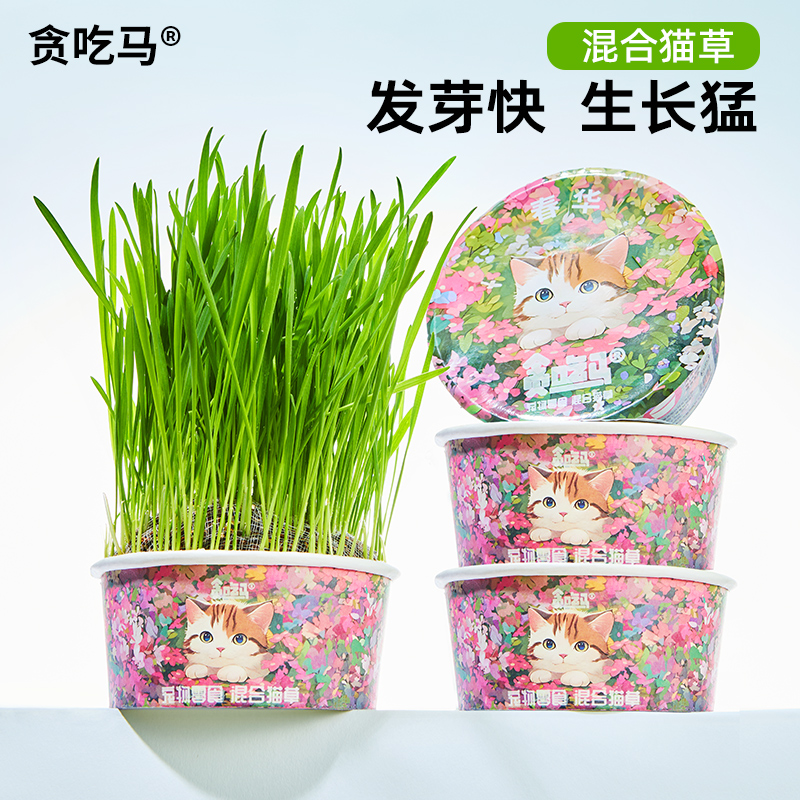 贪吃马春季混合猫草化毛排毛宠物用品猫咪零食猫草排毛化毛去毛球