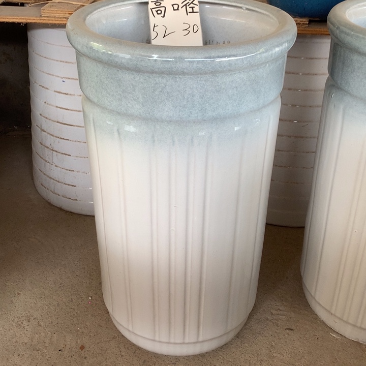 花盆里的小猫咪也是可爱又可爱