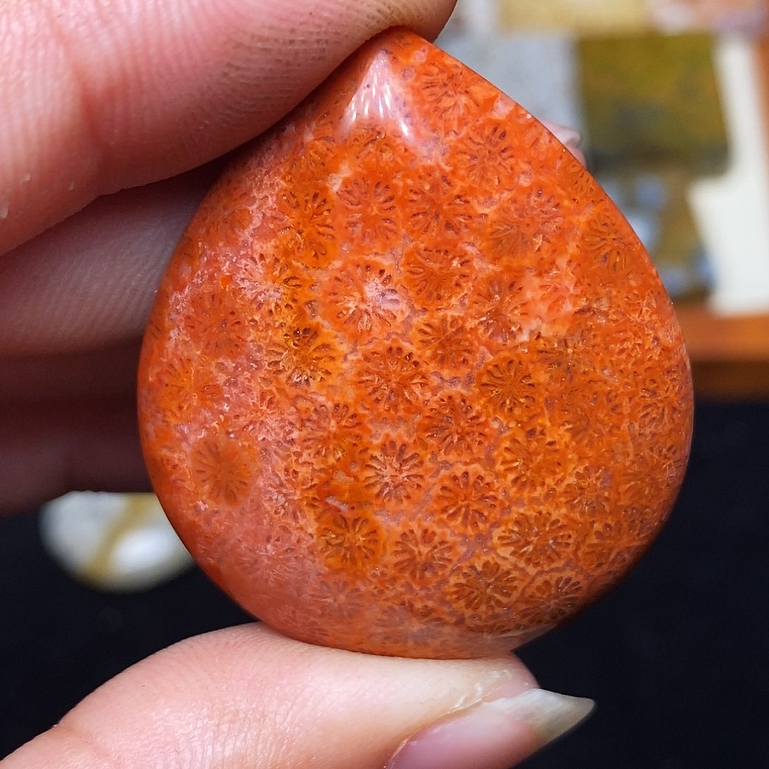 水***天硅化玉合金珊瑚玉