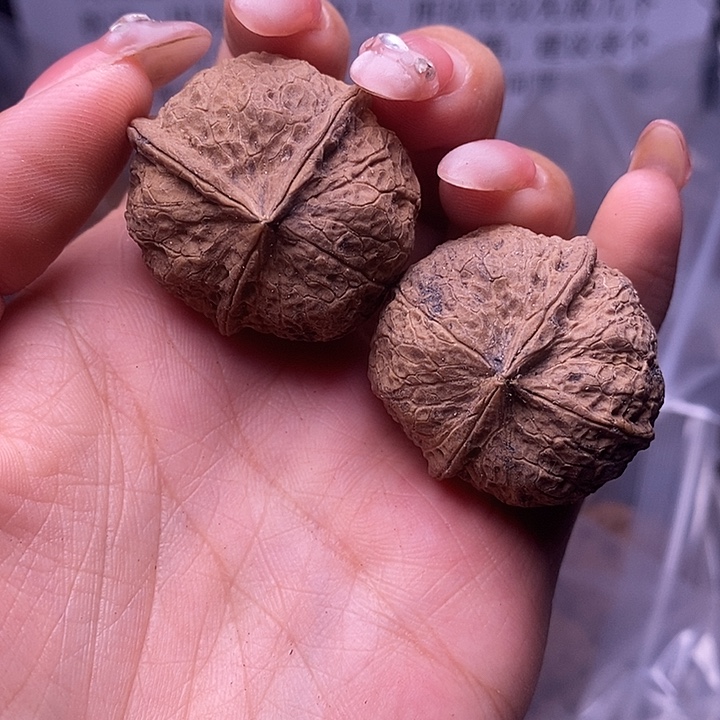 核桃云南野生铁核桃17号33mm