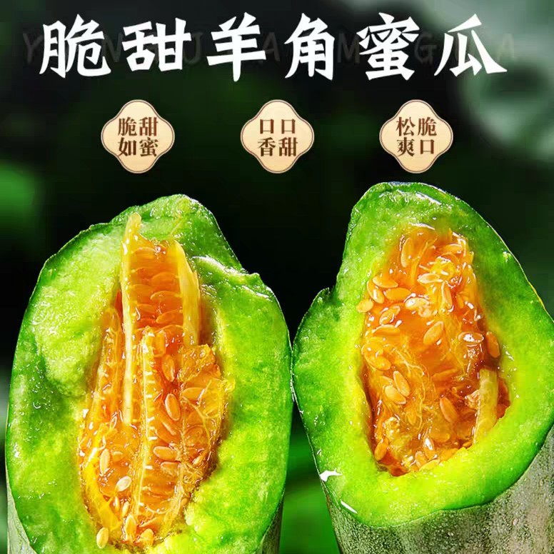 蜜园十八春天里第一口蜜瓜两斤