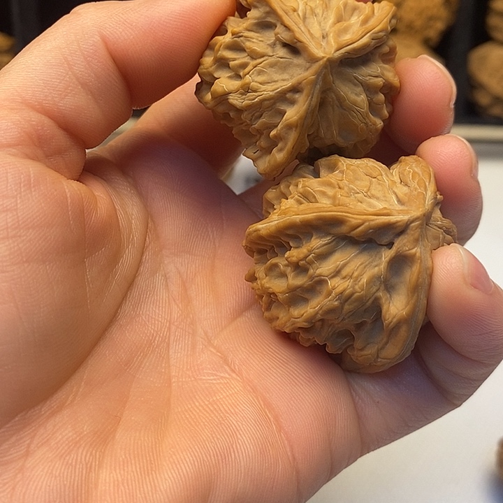 雾***春无花朵爆单爆单哈哈哈