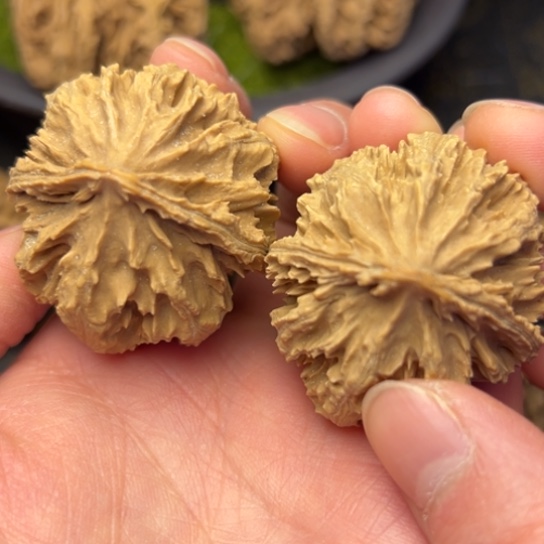 文玩核桃把件秦岭核桃114