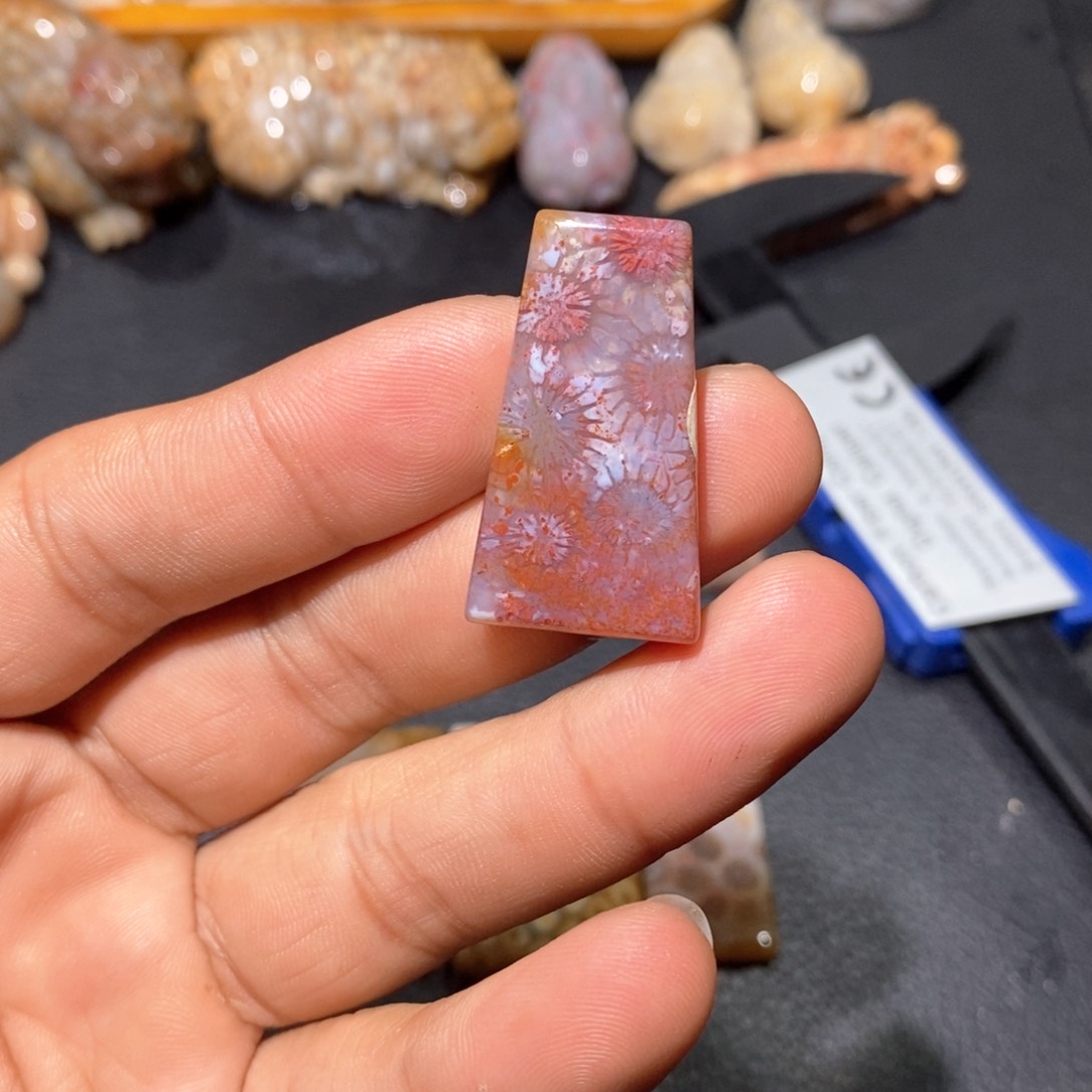 【闪购商品】硅化玉颈饰未镶嵌