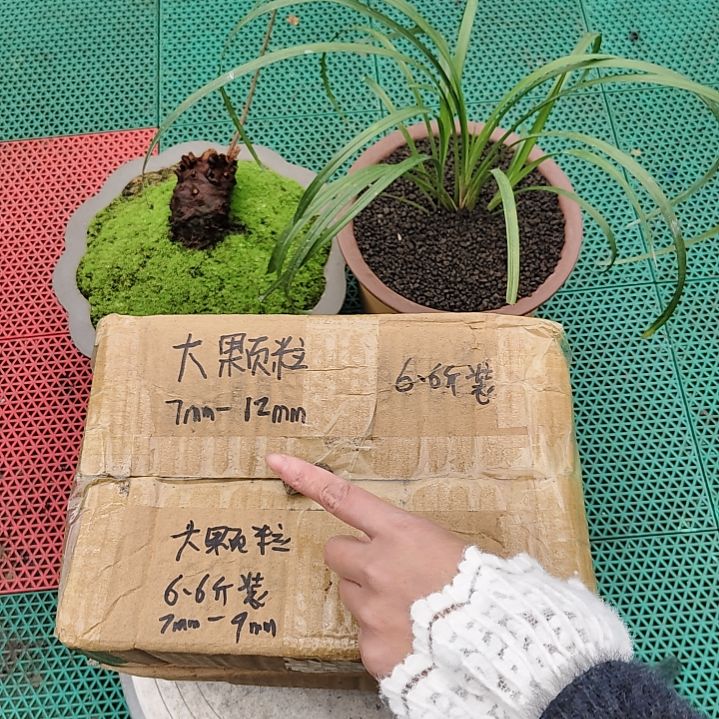 罗***粉兰菌黑山土大颗粒6.6斤