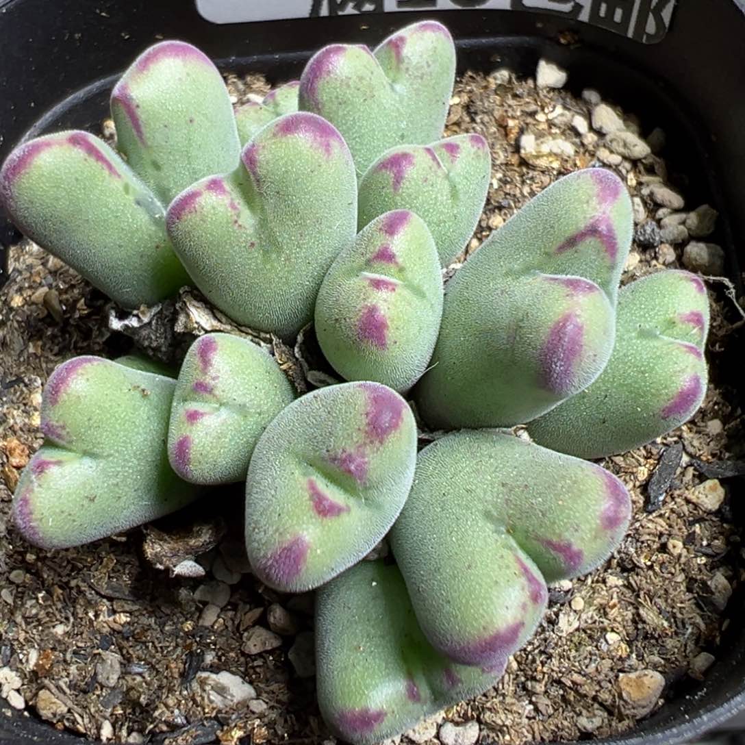 【闪购商品】 192。    