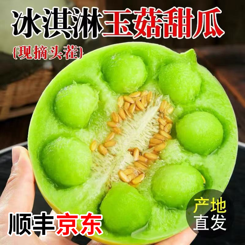 S2【顺丰京东】现摘冰淇淋玉菇甜瓜新鲜水果当季整箱香瓜蜜瓜6-9斤