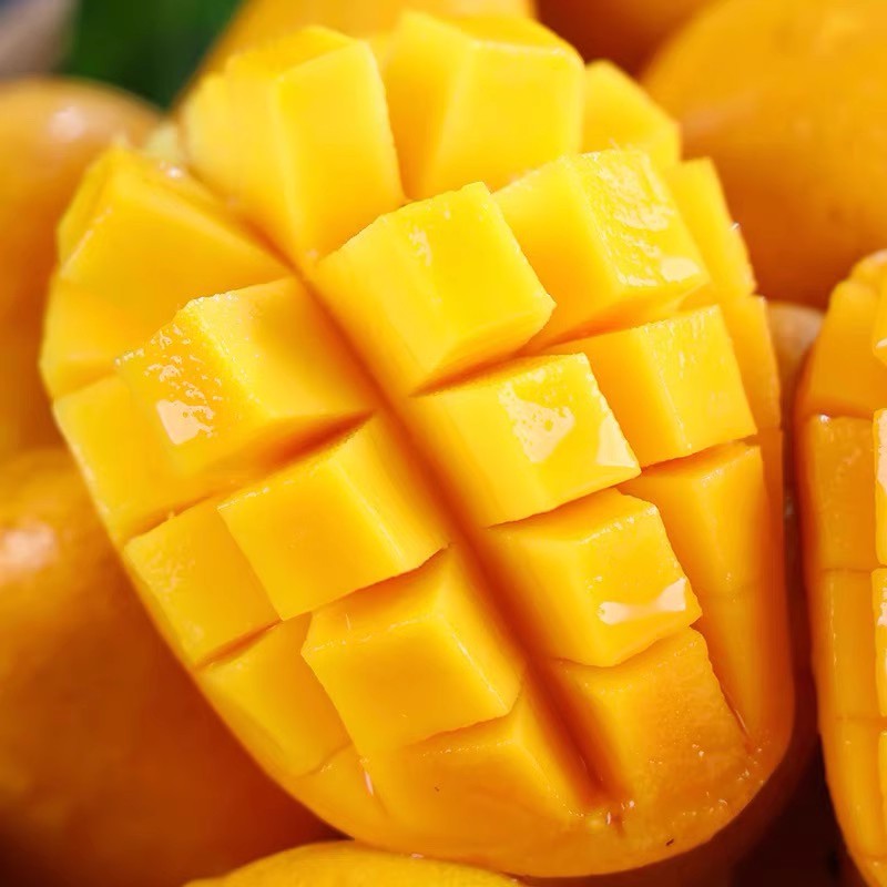 （老树芒果）【助农补贴】小台农芒果新鲜应季水果产地直发云南大芒果