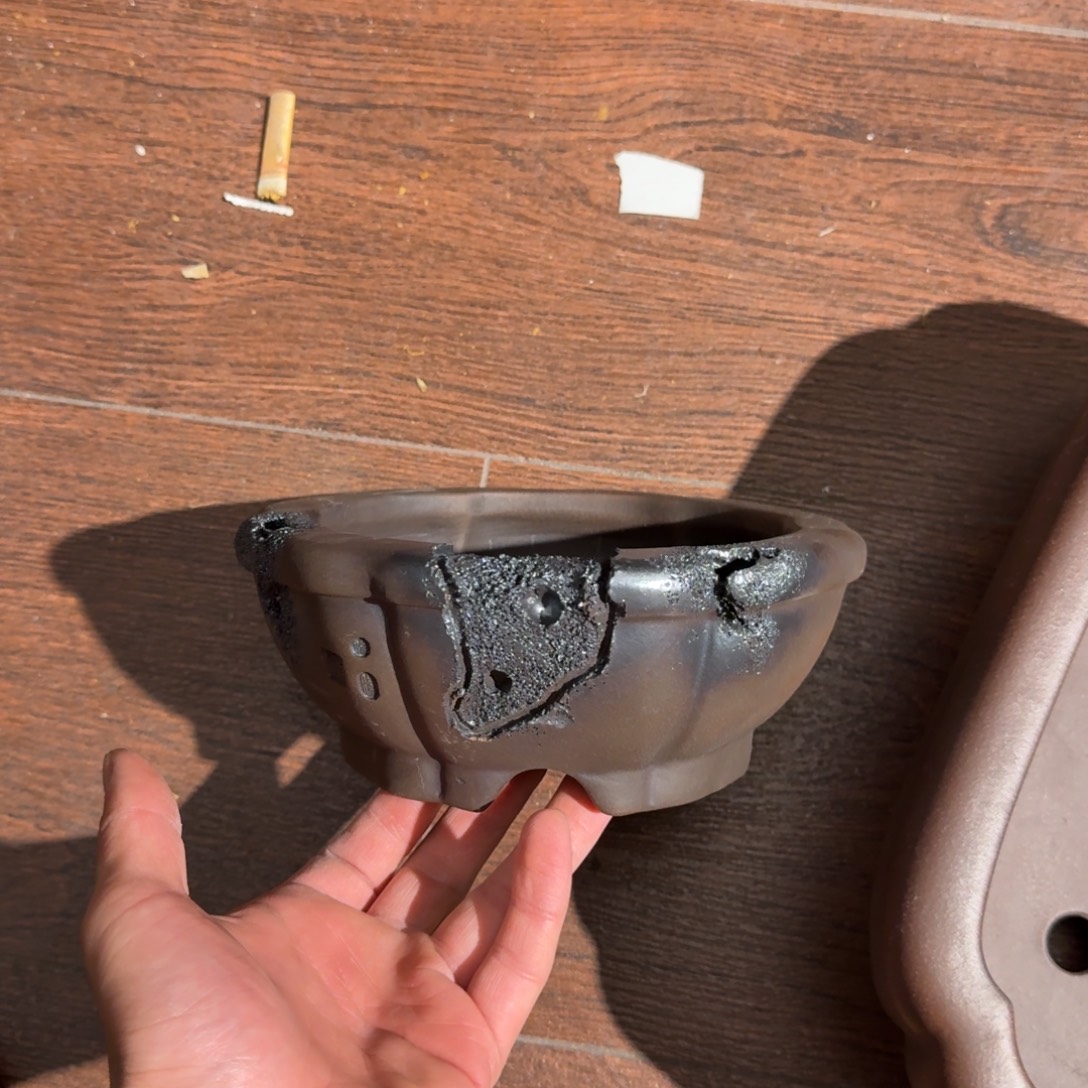 呜呜呜我的宝紫砂呜呜我好喜欢你