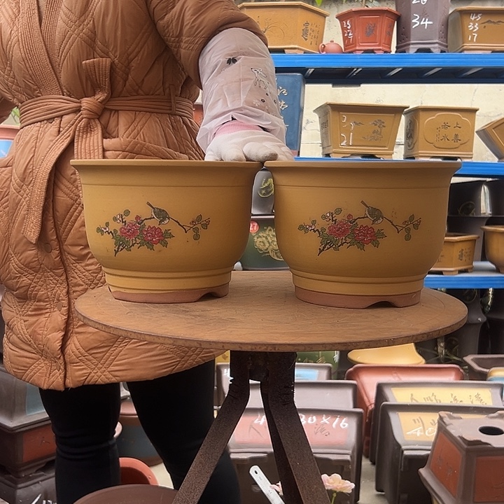 黄色鸟语花香中一对花盆花盆