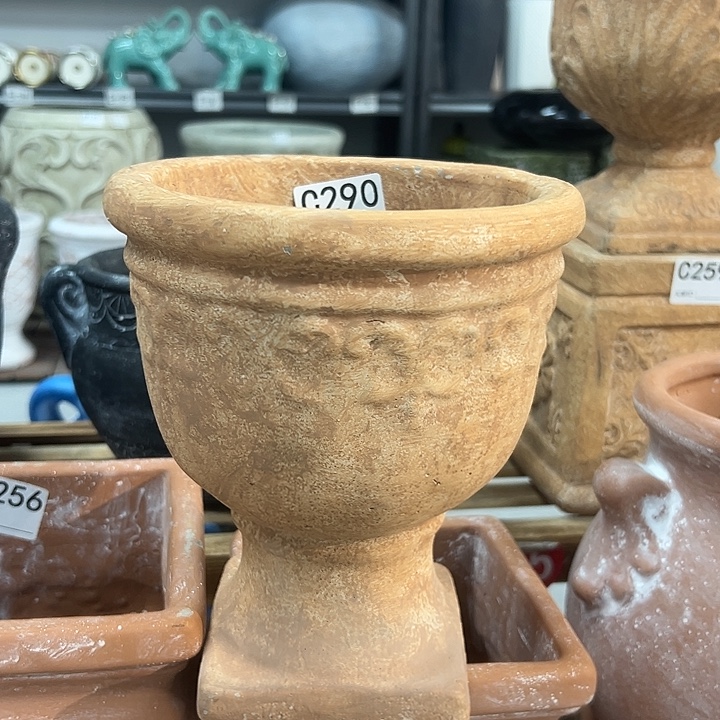 55566666666666666655655