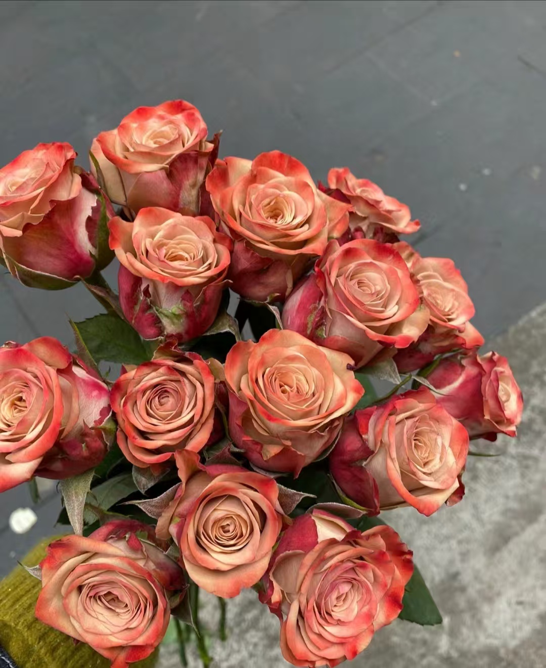 卡布奇诺玫瑰--全场任意两单升级冷链快递发货--到货先醒花