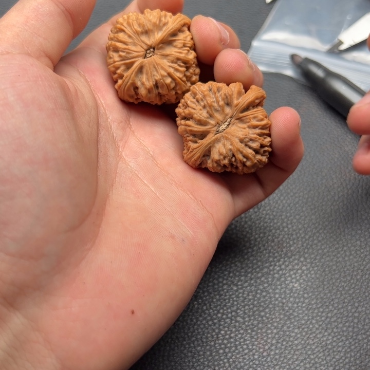 文玩核桃吊坠小**鹤50核桃