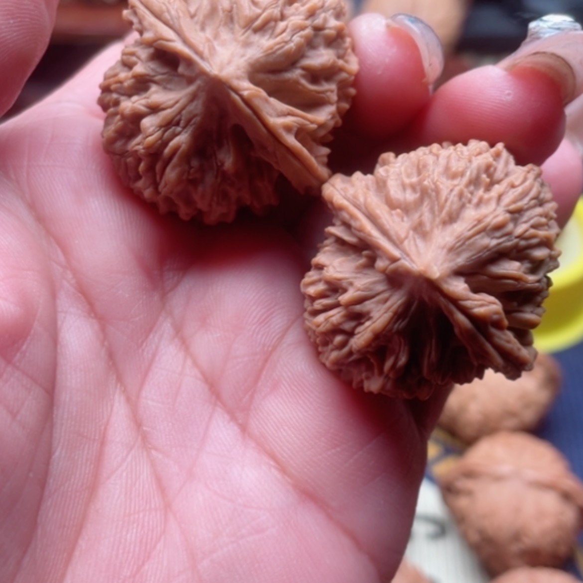 【闪购商品】猴头核桃吊坠野生35尺