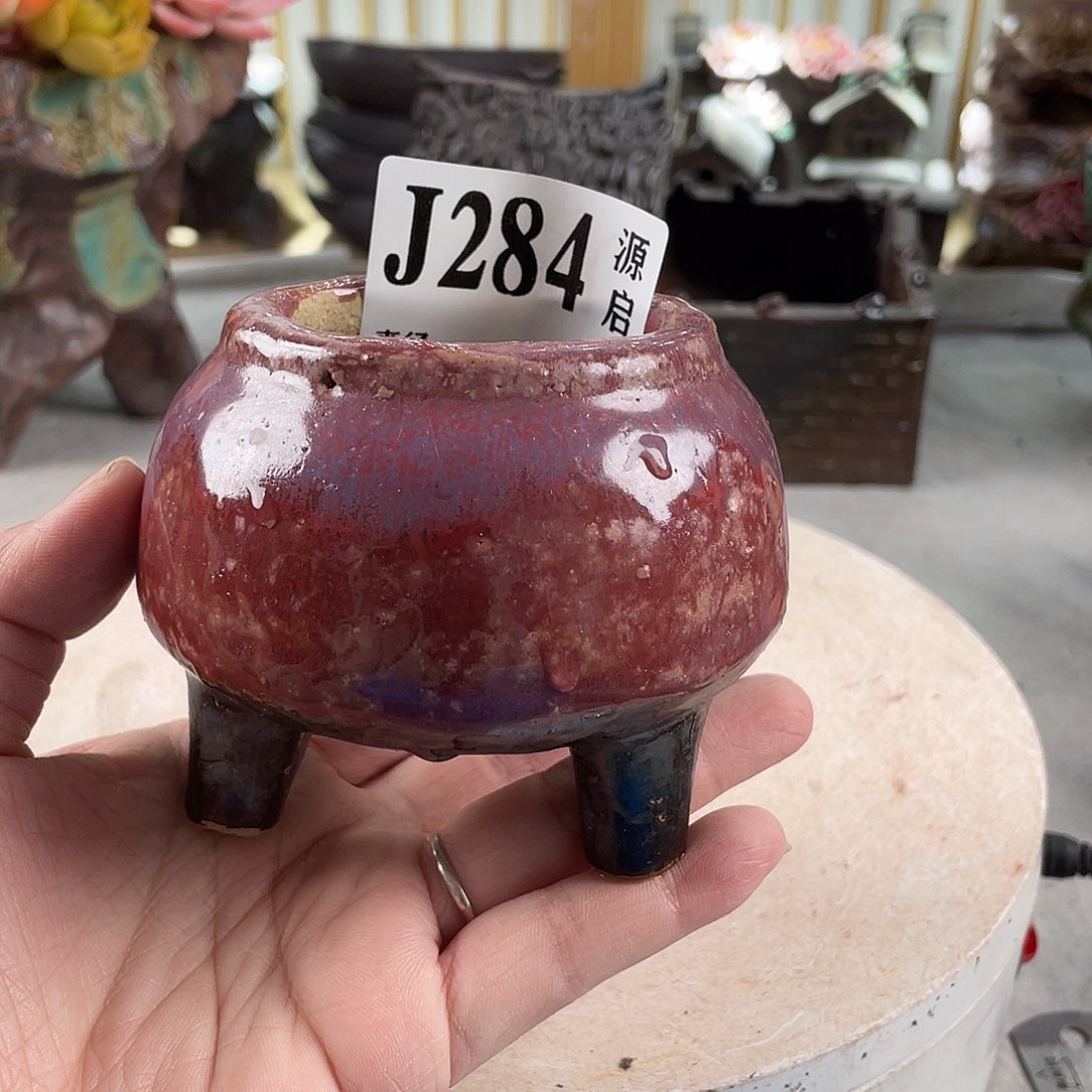 紫砂花盆景德镇陶瓷花盆284