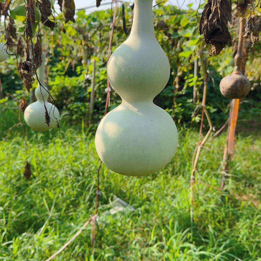 东***上葫芦八宝摆件葫芦