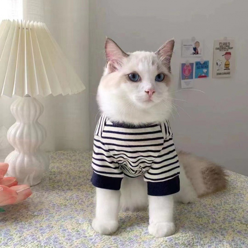 狗狗衣服春秋薄款两脚衣防掉毛小型犬泰迪博美比熊宠物衣服猫通用