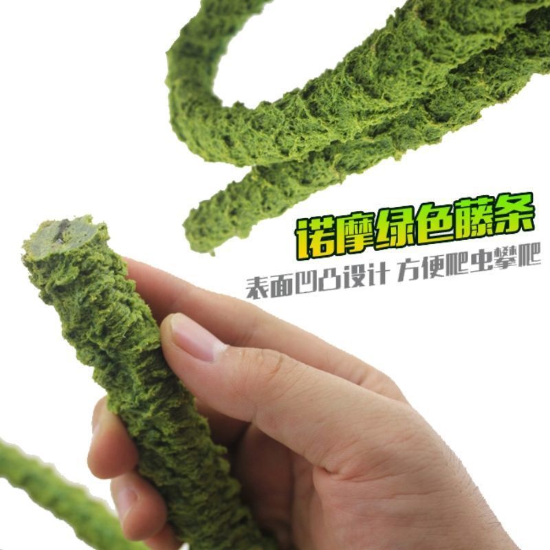 寄居蟹攀爬藤条树藤条造景爬宠蜥蜴攀爬可任意弯曲装饰树藤