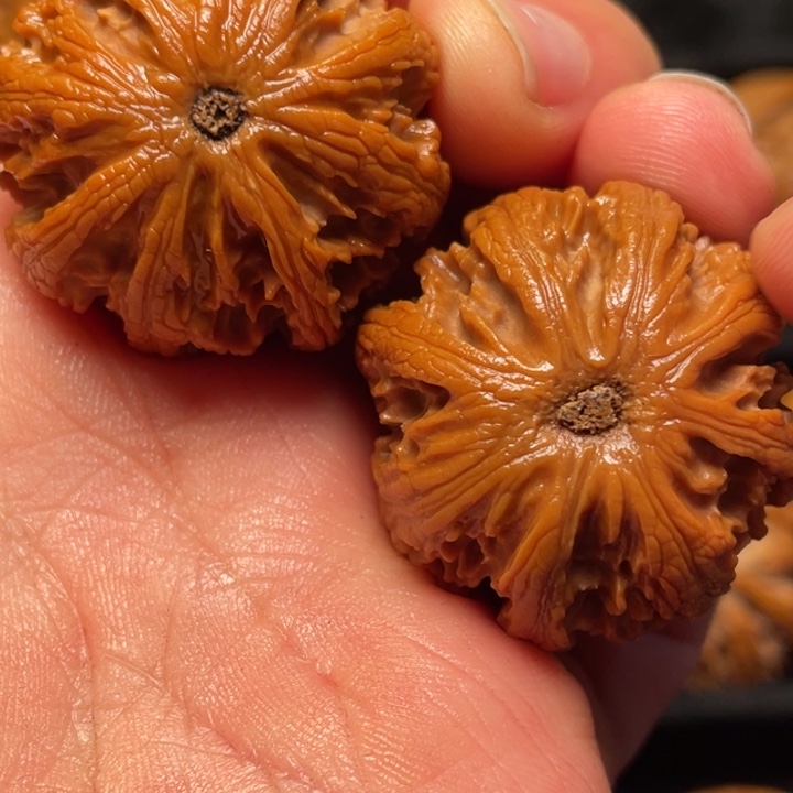 文玩核桃把件秦岭山脉核桃