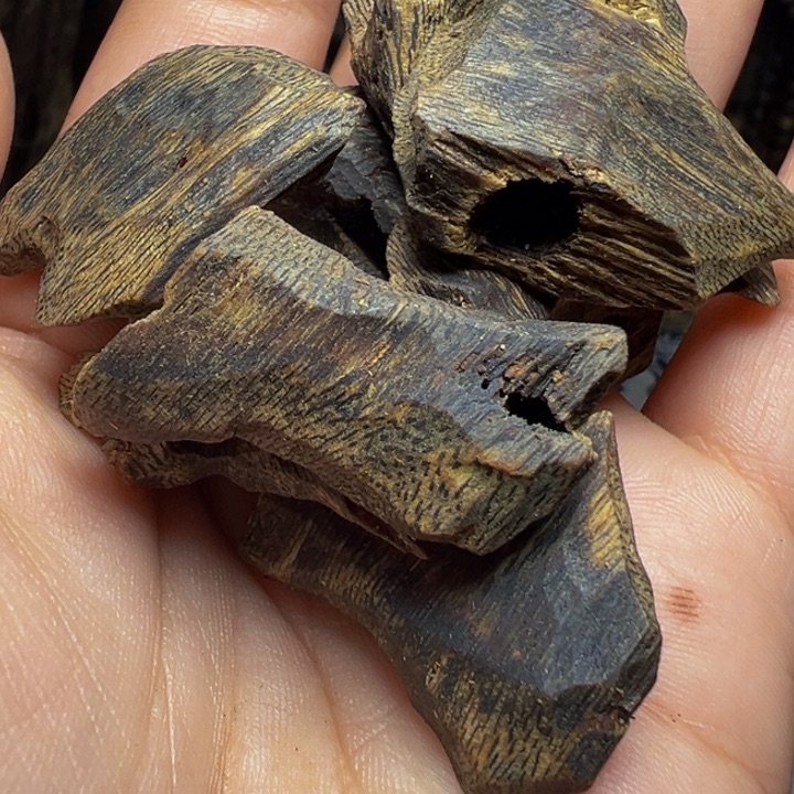 木。z z z z z z z z z z