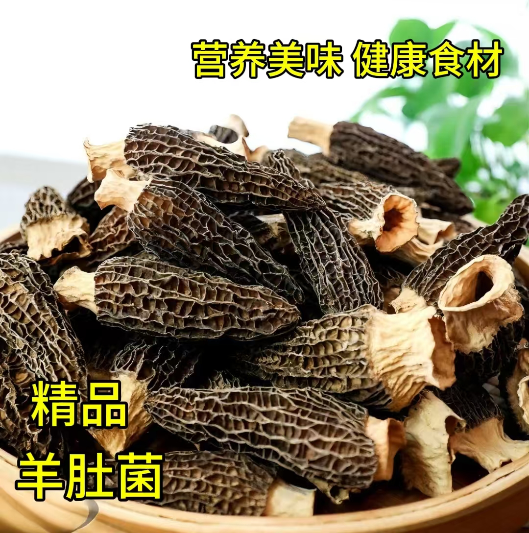 （6-8公分）2025头茬6妹羊肚菌营养煲汤佳品肉质厚实