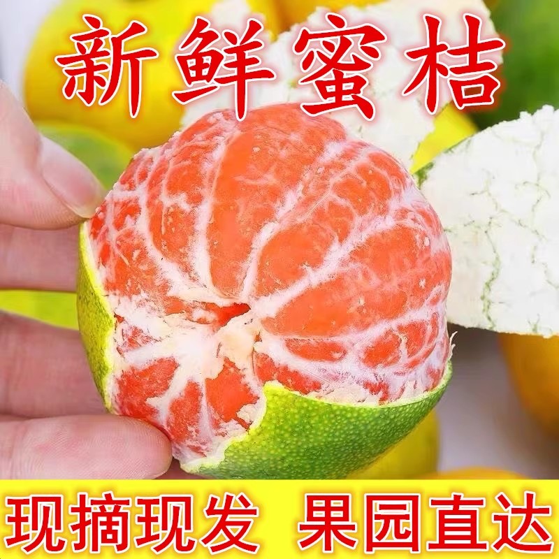 正宗四川蜜橘大芬蜜桔无籽酸甜可口皮薄肉厚3/5/8斤果园直发包邮