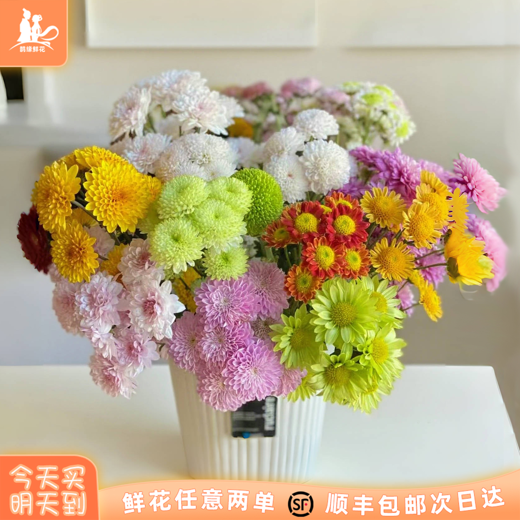 次日达 -【混搭小菊】5枝小雏菊鲜花鲜切花家居用花批发任意两单升级顺丰包邮三单送随机花瓶今天拍明天到4