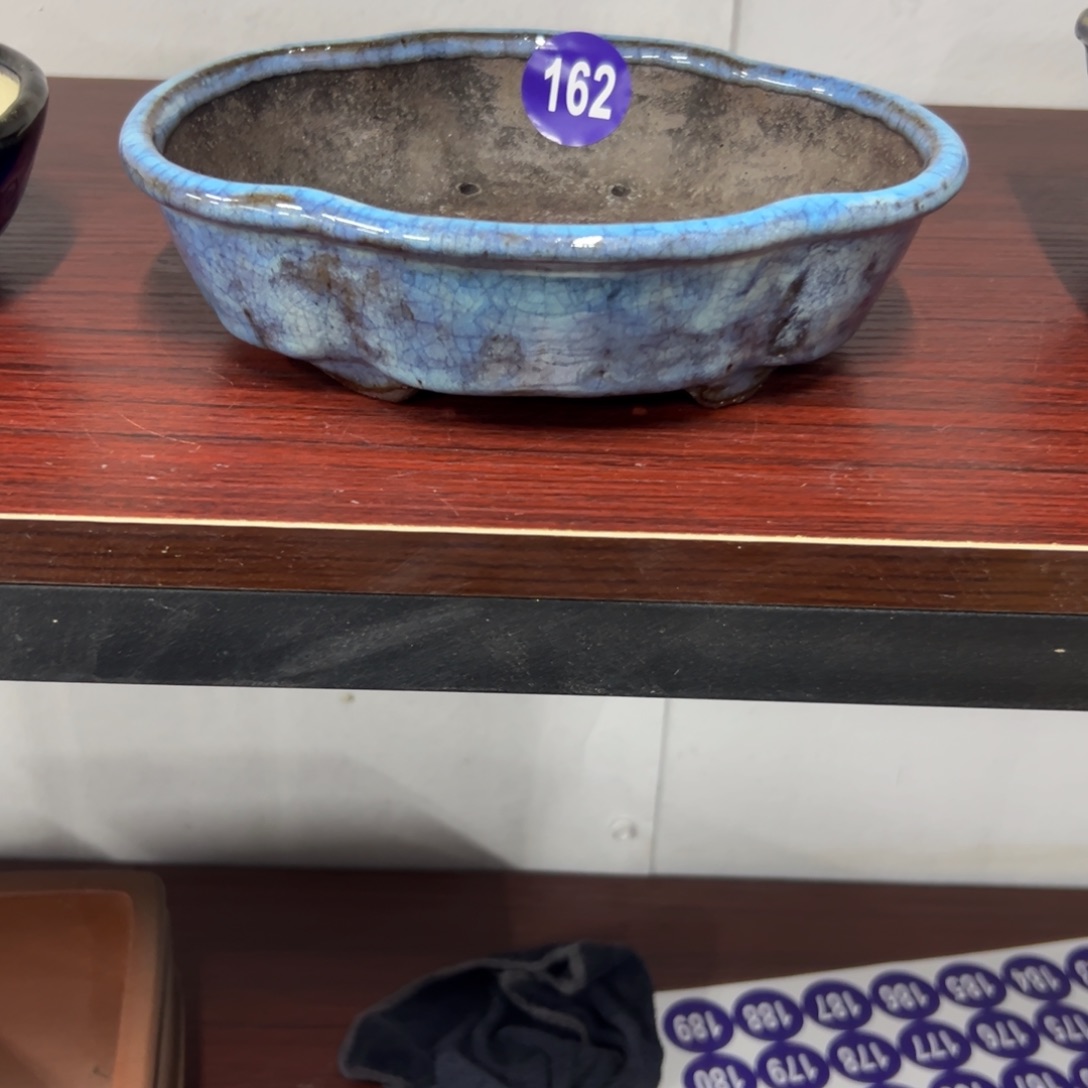 红陶红红火火过大年