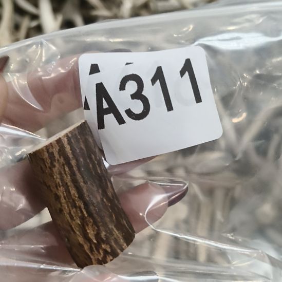 熊****鹿角鹿角鹿角鹿角鹿角