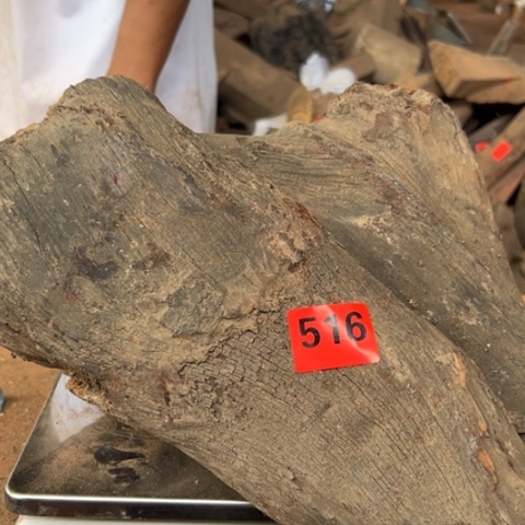 大果紫檀（缅甸花梨）