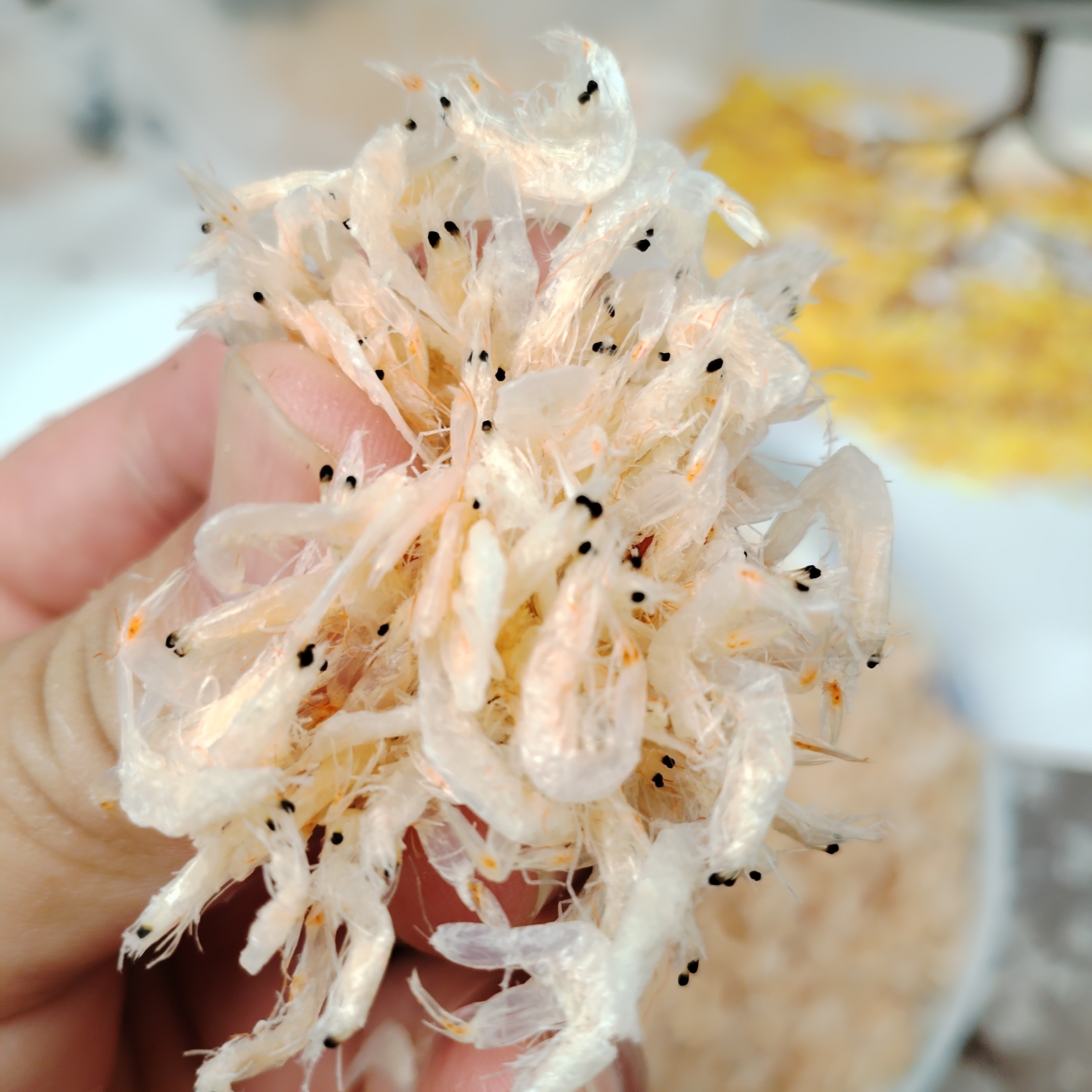 优质纯野生淡干无盐虾皮含钙量高精品虾皮250g/袋 天然钙库