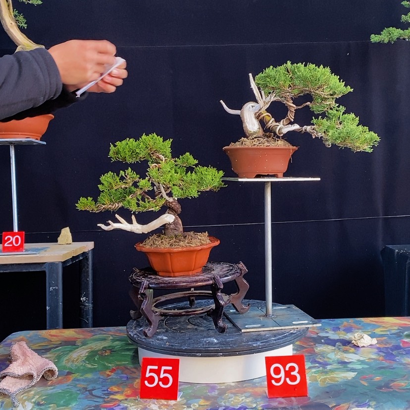【闪购商品】完全开放用****6