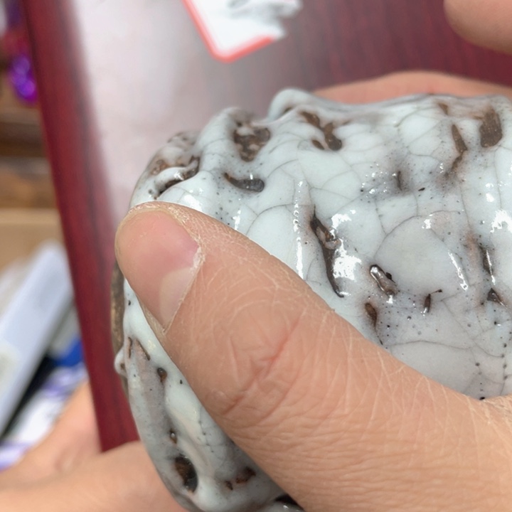 我是一只小小鸟地域鬼的人