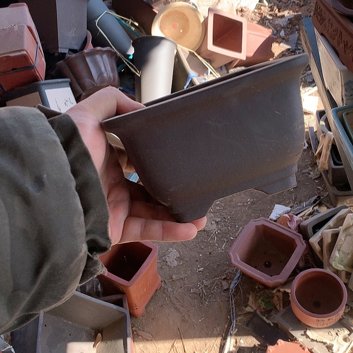 紫砂优秀青年科技人才创新人才