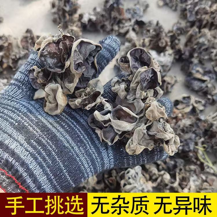 H头茬脆木耳干货肉厚无根适合餐饮火锅白背黑木耳