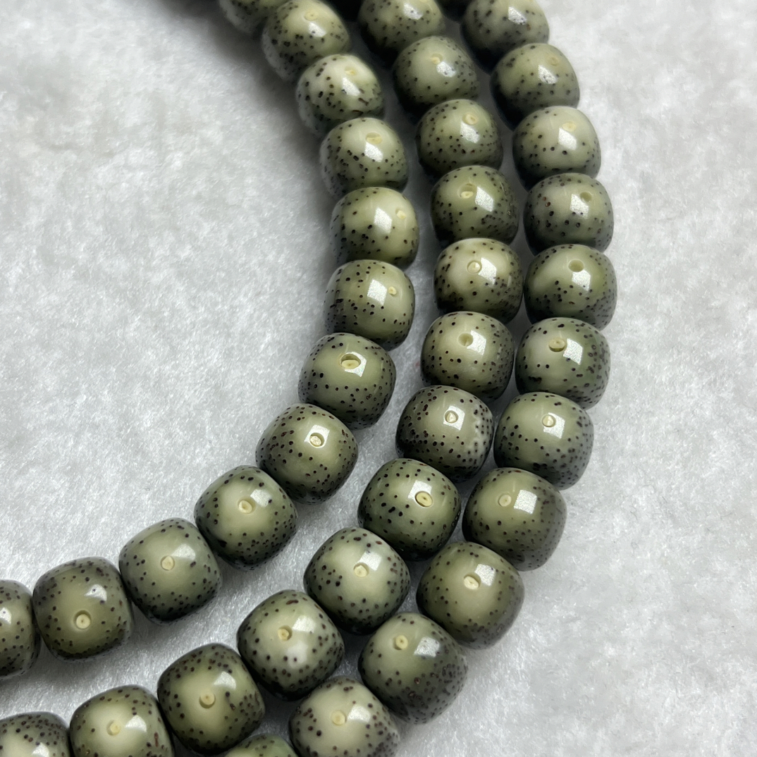 海南星月菩提9/8黄金瞳