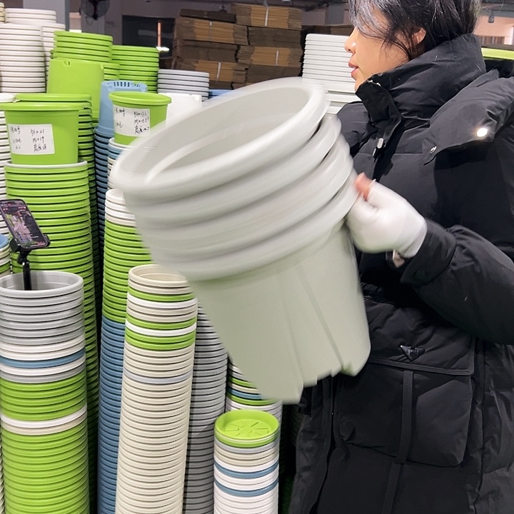 清仓青山口32高28灰白色5只无托