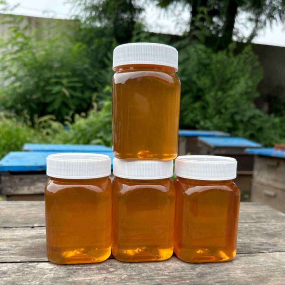 5斤荆条花蜜野生荆条蜜自产自销【买四斤送一斤】