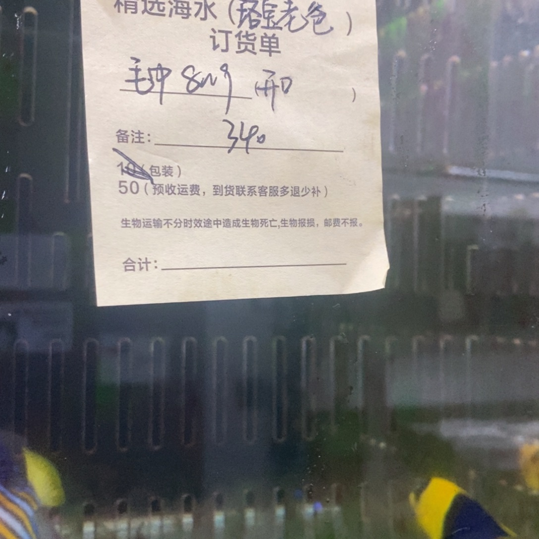 海水鱼毛巾开口活动