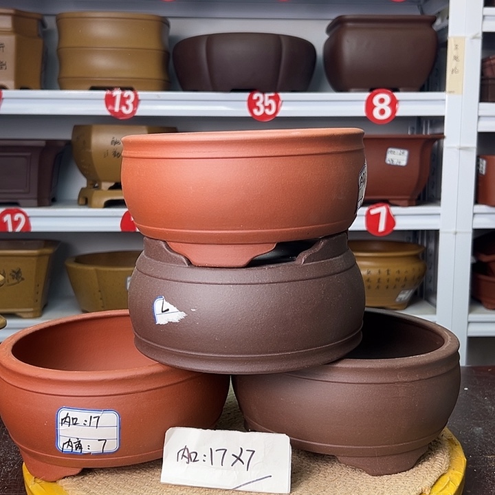 紫砂花盆蛇年大吉