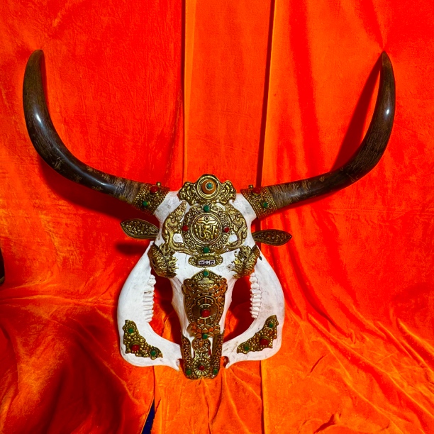 牛头骨工艺品墙挂装饰标本摆件创意家居装饰（黑）