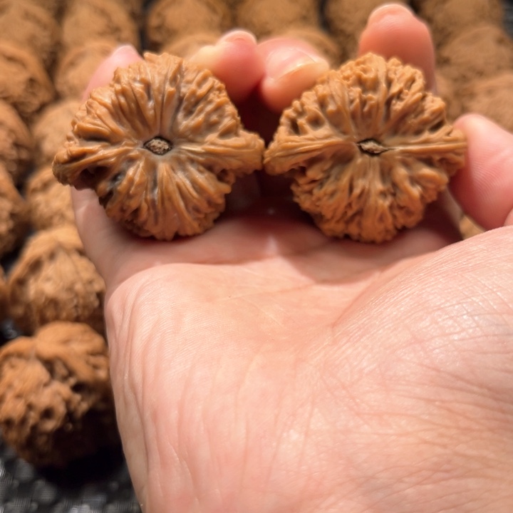 F****片南疆石44尺南疆