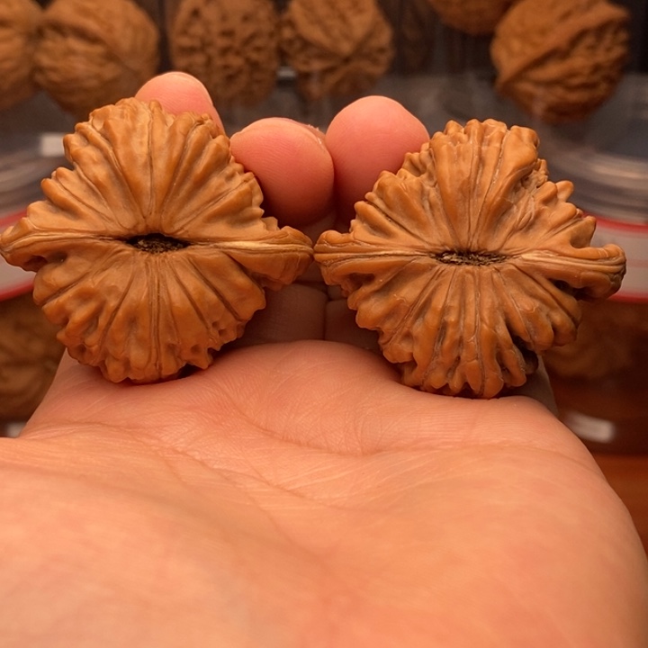 核桃麻核桃四座楼43尺